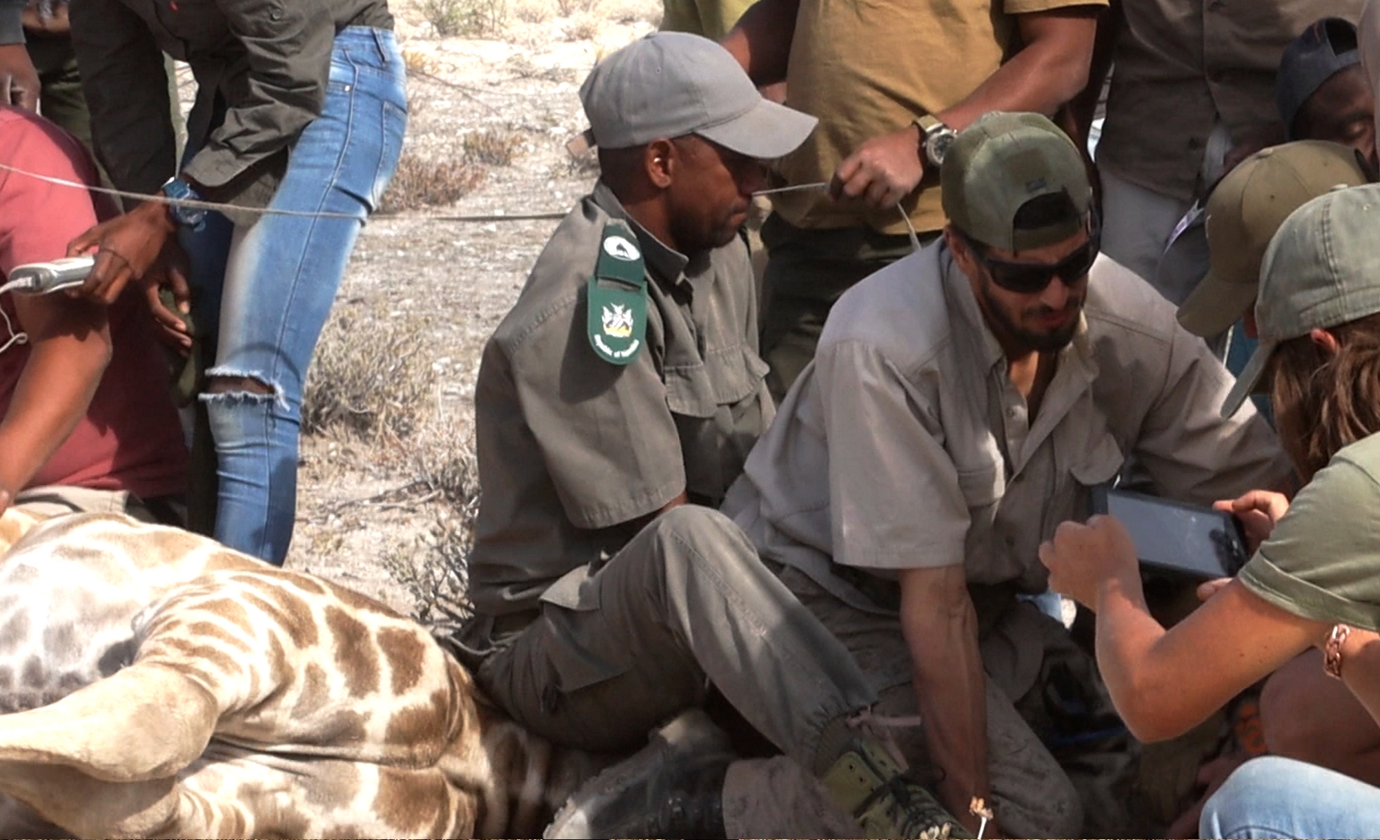 Private conservation landscape in Namibia